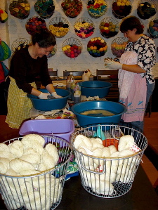 dsc05584.jpg